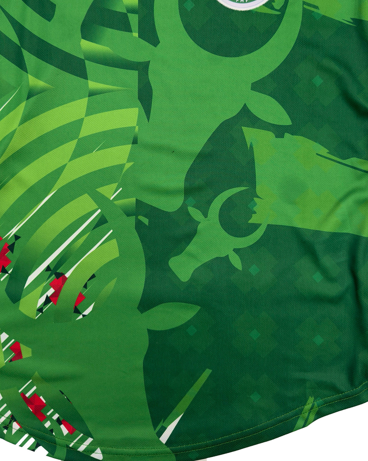 Maillot Madagascar Umbro 2025/26 extérieur – détail du motif zébu
